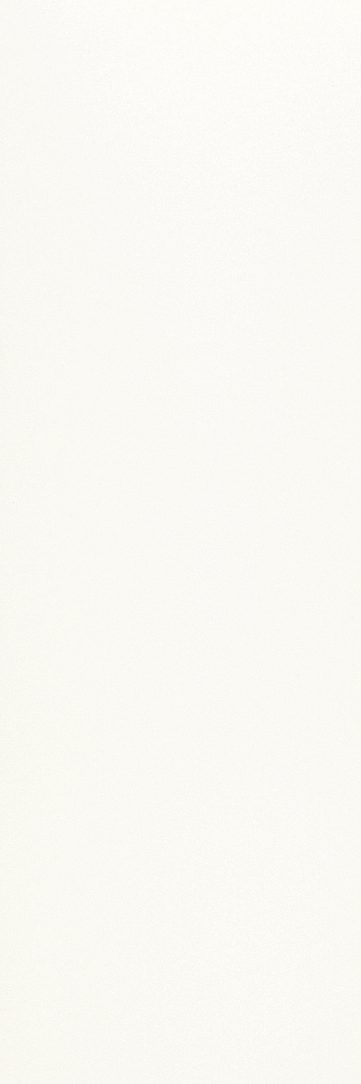 Cotto D'este Black White Bianco Materica naturalna 100x300 cm gr. 6 mm